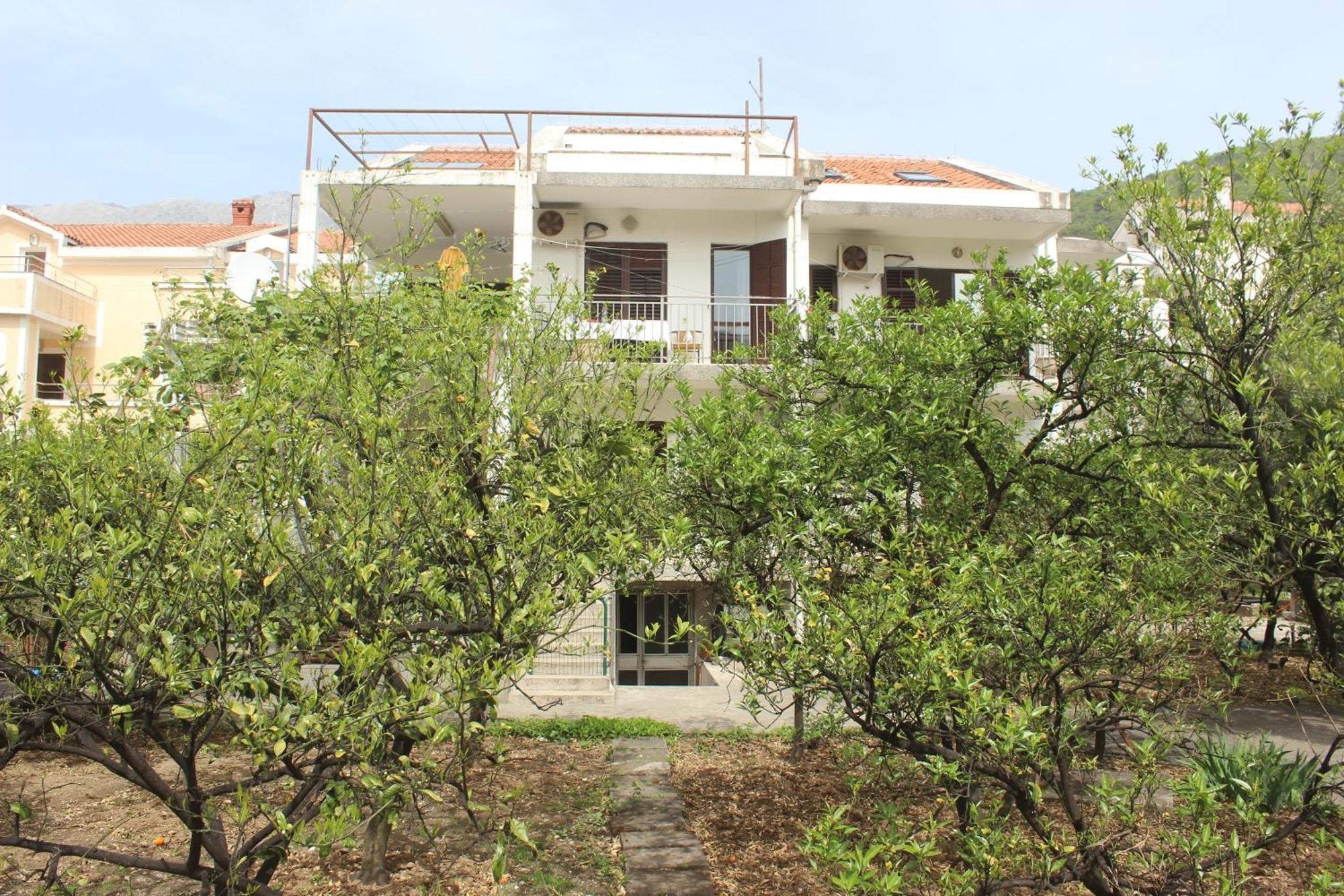 Guest house Nir *